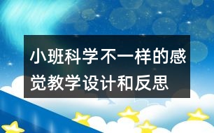 小班科學(xué)不一樣的感覺(jué)教學(xué)設(shè)計(jì)和反思