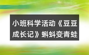 小班科學活動《豆豆成長記》蝌蚪變青蛙故事腳本