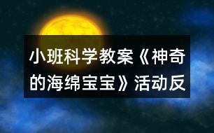 小班科學教案《神奇的海綿寶寶》活動反思