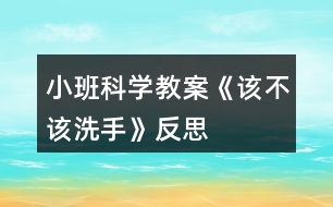 小班科學(xué)教案《該不該洗手》反思