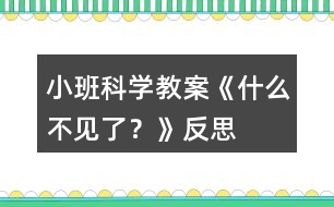 小班科學(xué)教案《什么不見了？》反思