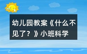 幼兒園教案《什么不見了？》小班科學(xué)