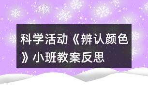 科學活動《辨認顏色》小班教案反思