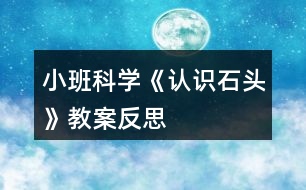 小班科學(xué)《認(rèn)識石頭》教案反思