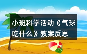 小班科學(xué)活動(dòng)《氣球吃什么》教案反思