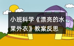 小班科學(xué)《漂亮的水果外衣》教案反思