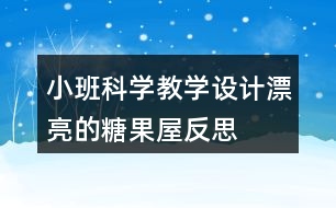 小班科學教學設(shè)計漂亮的糖果屋反思