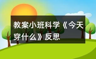 教案小班科學《今天穿什么》反思