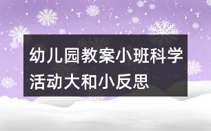 幼兒園教案小班科學活動大和小反思