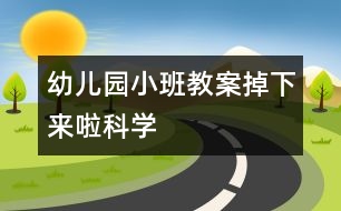 幼兒園小班教案：掉下來啦（科學(xué)）