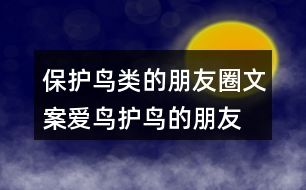 保護(hù)鳥類的朋友圈文案、愛鳥護(hù)鳥的朋友圈文案36句