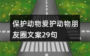 保護動物、愛護動物朋友圈文案29句