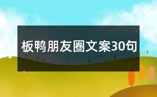 板鴨朋友圈文案30句