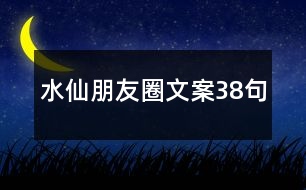 水仙朋友圈文案38句