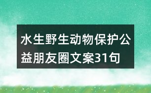 水生野生動(dòng)物保護(hù)公益朋友圈文案31句