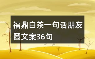 福鼎白茶一句話(huà)朋友圈文案36句