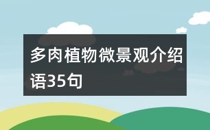 多肉植物微景觀介紹語35句