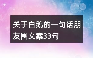 關(guān)于白鵝的一句話朋友圈文案33句