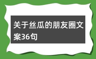 關(guān)于絲瓜的朋友圈文案36句