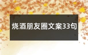 燒酒朋友圈文案33句