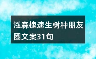 泓森槐速生樹種朋友圈文案31句