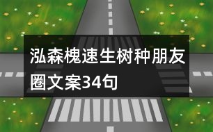 泓森槐速生樹(shù)種朋友圈文案34句