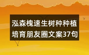 泓森槐速生樹種種植培育朋友圈文案37句