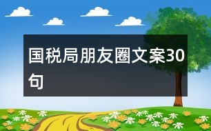 國(guó)稅局朋友圈文案30句