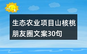 生態(tài)農業(yè)項目山核桃朋友圈文案30句