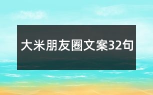 大米朋友圈文案32句