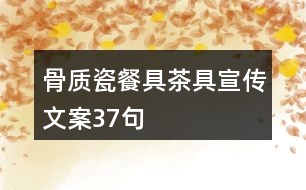 骨質(zhì)瓷餐具茶具宣傳文案37句