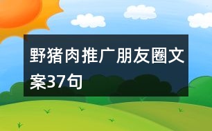 野豬肉推廣朋友圈文案37句