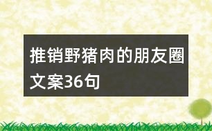 推銷野豬肉的朋友圈文案36句