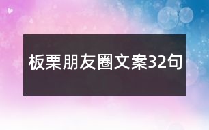 板栗朋友圈文案32句