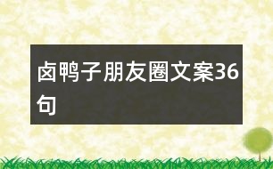 鹵鴨子朋友圈文案36句