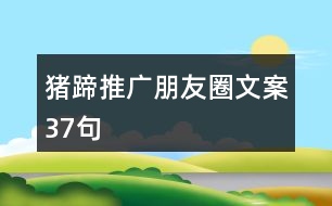 豬蹄推廣朋友圈文案37句