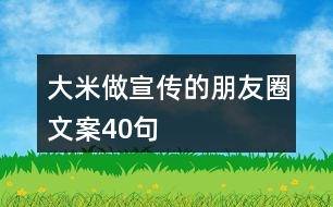 大米做宣傳的朋友圈文案40句