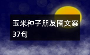 玉米種子朋友圈文案37句