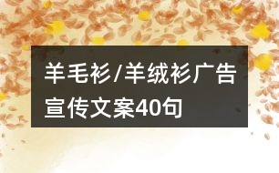 羊毛衫/羊絨衫廣告宣傳文案40句