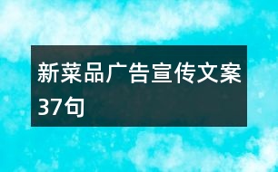 新菜品廣告宣傳文案37句