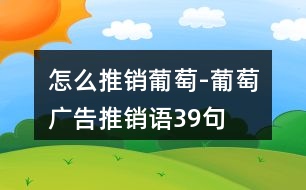 怎么推銷(xiāo)葡萄-葡萄廣告推銷(xiāo)語(yǔ)39句