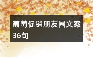 葡萄促銷朋友圈文案36句