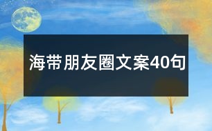 海帶朋友圈文案40句