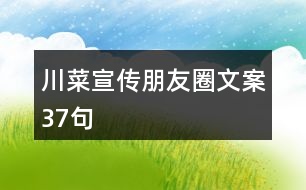 川菜宣傳朋友圈文案37句