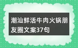 潮汕鮮活牛肉火鍋朋友圈文案37句