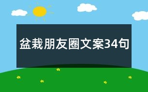 盆栽朋友圈文案34句