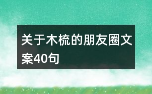 關(guān)于木梳的朋友圈文案40句