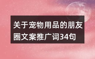 關(guān)于寵物用品的朋友圈文案、推廣詞34句