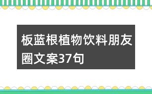 板藍(lán)根植物飲料朋友圈文案37句