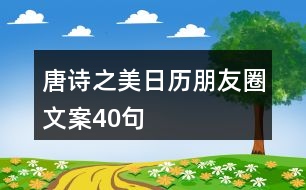 唐詩(shī)之美日歷朋友圈文案40句